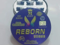 kbsolat-ryborn-lltkhsys-small-1