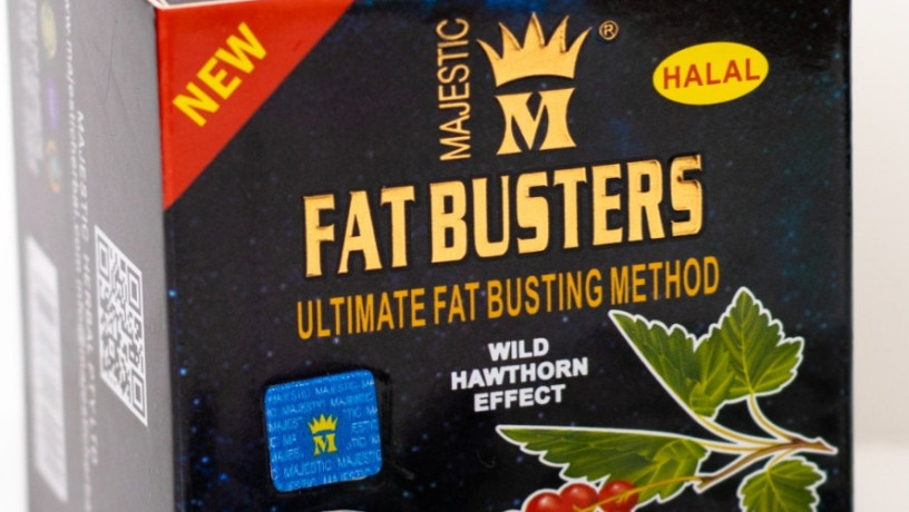 fat-bastrz-lltkhsys-fat-busters-big-0