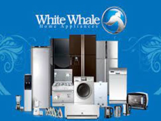 تصليح ثلاجات وايت ويل لا تبرد بالعاشر من رمضان 01125892599