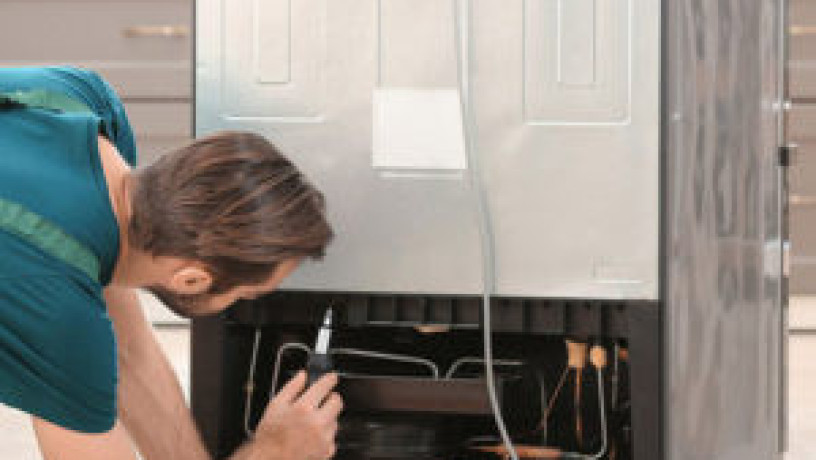 syan-thlagat-goldy-nofrost-oaaady-fraa-aga-01092279973-big-0