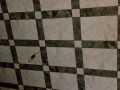 maalm-blat-small-9