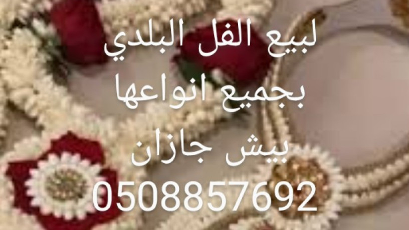 alfl-algahz-bysh-bgazan-big-0