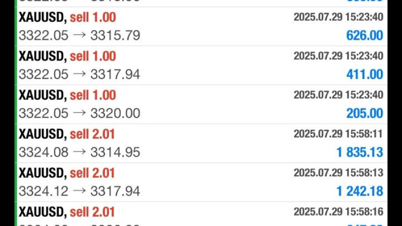 tosyat-thhby-oadar-mhfthtk-balashm-alsaaody-oalamryky-oalaamlat-baaaly-rbh-mn-mktbna-alastshary-bors-bros-big-0