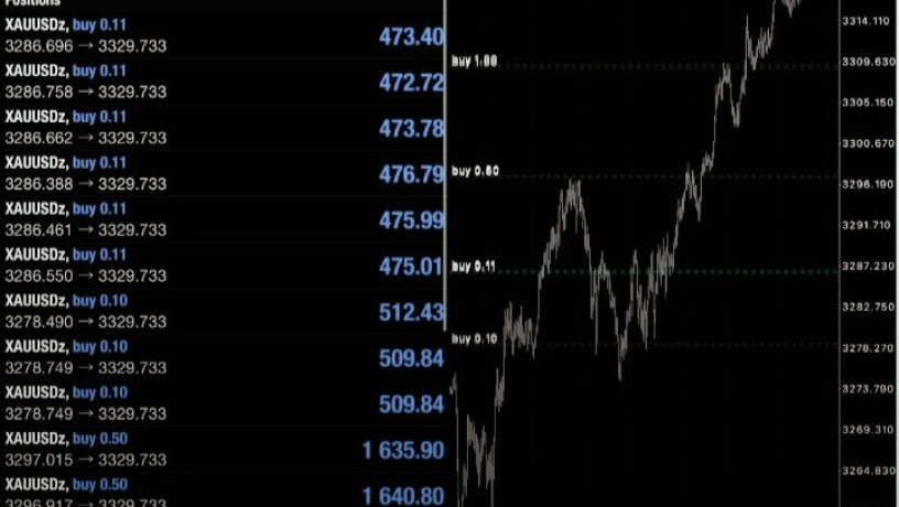 tosyat-thhby-oadar-mhfthtk-balashm-alsaaody-oalamryky-oalaamlat-baaaly-rbh-mn-mktbna-alastshary-bors-bros-big-5