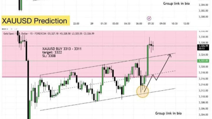 tosyat-thhby-oadar-mhfthtk-balashm-alsaaody-oalamryky-oalaamlat-baaaly-rbh-mn-mktbna-alastshary-bors-bros-big-1