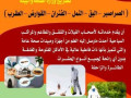 arkhs-shrk-mkafh-hshrat-bmkh-aonst-klyn-small-0