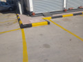 alryad-small-0