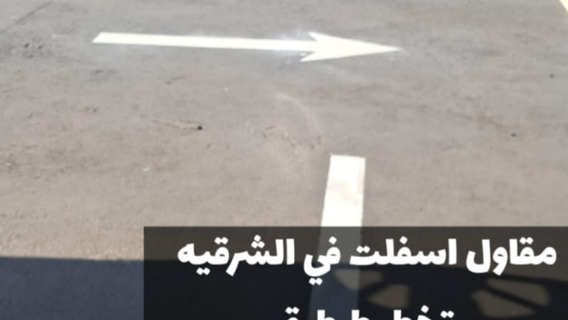 mkaol-asflt-maatmd-balmntk-alshrky-sflt-amam-almnazl-oalmoakf-fy-aldmam-0500915106-big-2