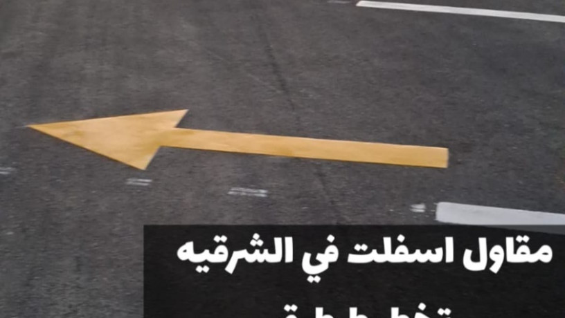 mkaol-asflt-maatmd-balmntk-alshrky-sflt-amam-almnazl-oalmoakf-fy-aldmam-0500915106-big-4