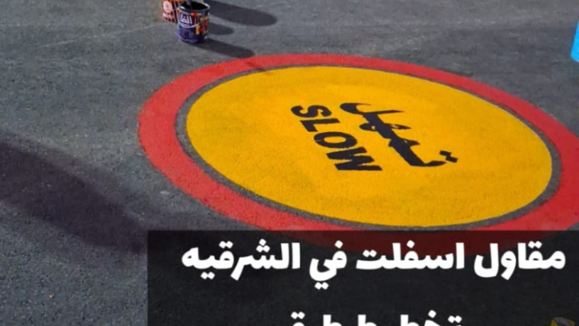 mkaol-asflt-maatmd-balmntk-alshrky-sflt-amam-almnazl-oalmoakf-fy-aldmam-0500915106-big-1